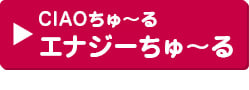 エナジーちゅ～る