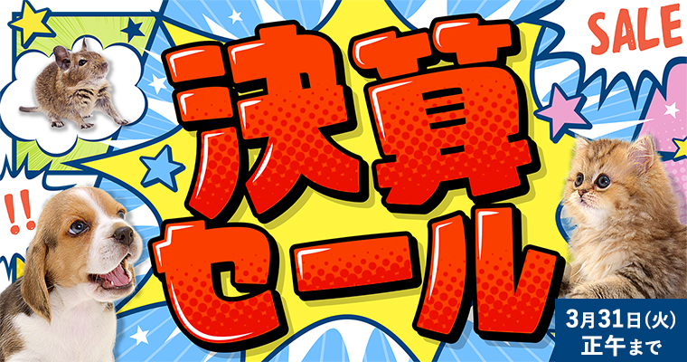 ペット用品・フードのコジマ通信販売オンライン