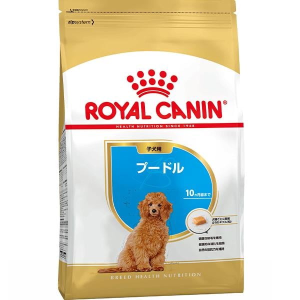 プードル 子犬用 1.5kg