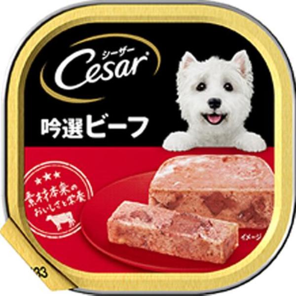 シーザー トレイ 100g×24コ
