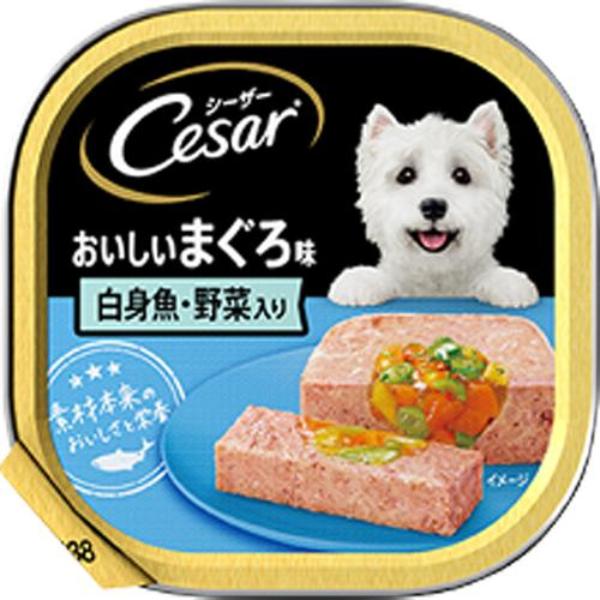 【あす宅】シーザー トレイ おいしいまぐろ 白身魚・野菜入り ふわふわローフタイプ 100g×24コ
