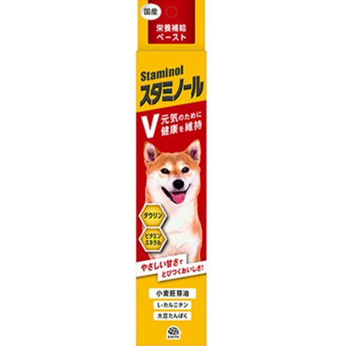スタミノール V 100g