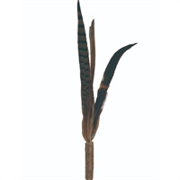 MEGAじゃらし 付け替え用2P Nブラウン