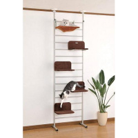 キャットウォーク