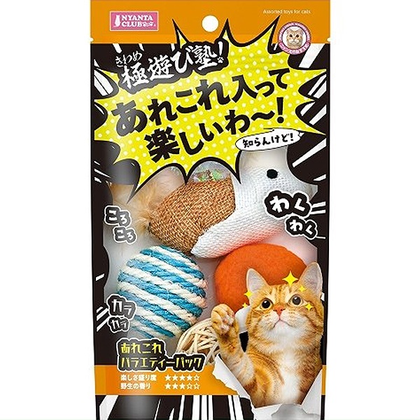 極遊び塾！ あれこれバラエティーパック