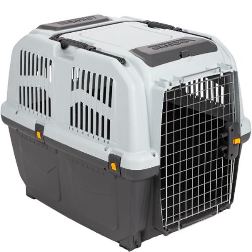 サイズ5 L