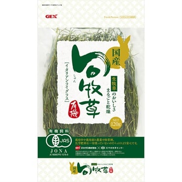 旬牧草 イタリアンライグラス 120g