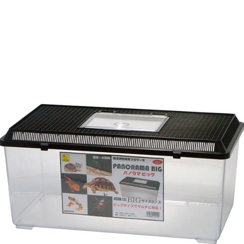 パノラマビッグ