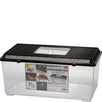 パノラマビッグ