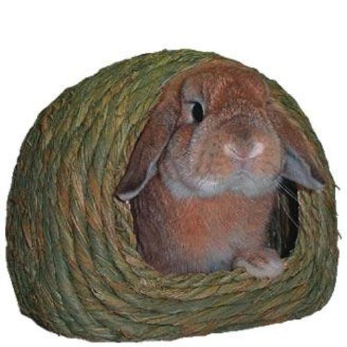 【取寄せ】わらっこ倶楽部 かまくらハウス M