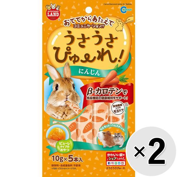 【セット販売】うさうさぴゅーれ にんじん 50g(10g×5本)×2コ