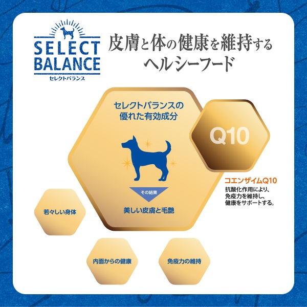 取寄せ】セレクトバランス スリム ラム 小粒 成犬の体重管理用 3kg