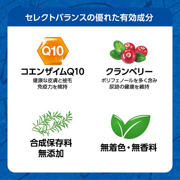 取寄せ】セレクトバランス エイジングケア チキン 小粒 7才以上の成犬