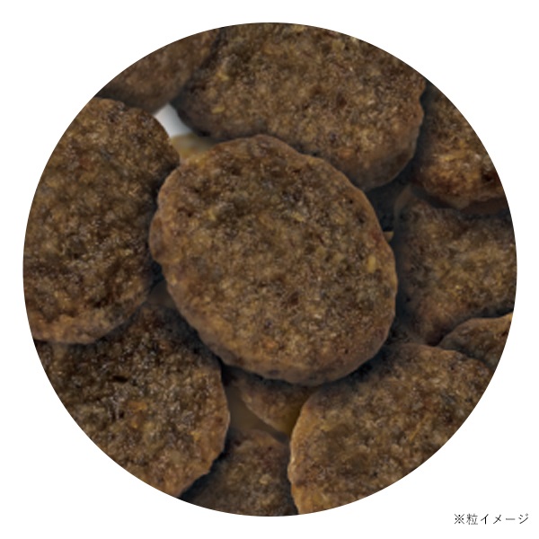 取寄せ】セレクトバランスエイジングケア ラム 小粒 7才以上の成犬用