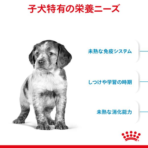  CANIN ミディアム パピー 16kg Amazon.co.jp: ロイヤルカナン ミディアムパピー,中型犬子犬用