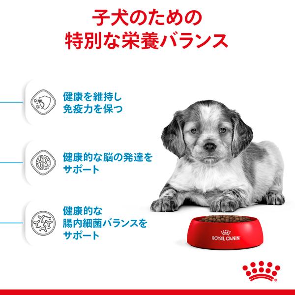 CANIN、成犬体重11～25kg「ミディアムパピー」16kg 中型犬用(成犬時