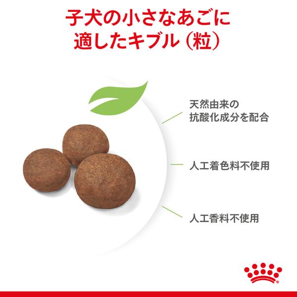  CANIN ミディアム パピー 16kg Amazon.co.jp: ロイヤルカナン ミディアムパピー,中型犬子犬用