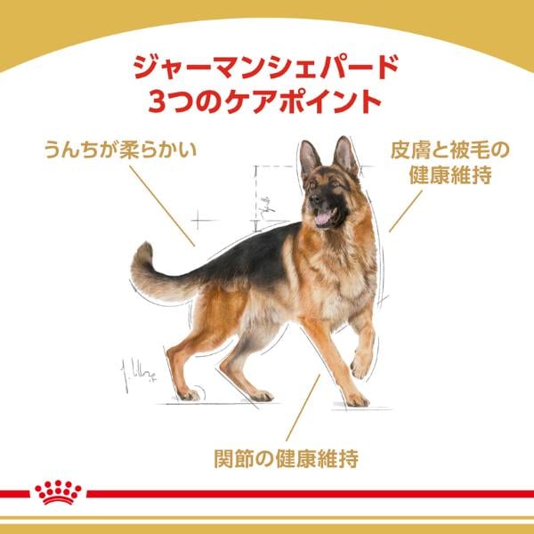 ロイヤルカナン ブリード ヘルス ニュートリション ジャーマン