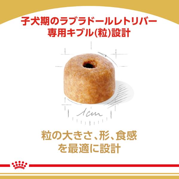 ロイヤルカナン ラブラドール 子犬 3kg ロイヤルカナン ラブラドールレトリバー 子犬用 3kg×4袋 ジップ