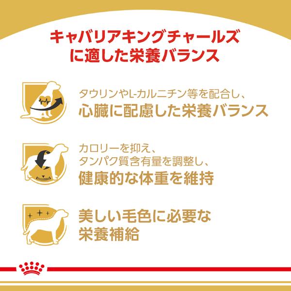 ロイヤルカナン ブリード ヘルス ニュートリション キャバリア キング