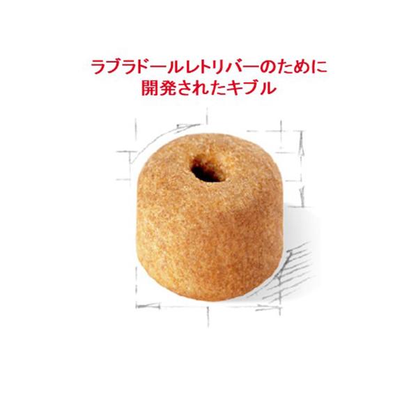 ロイヤルカナン ブリード ヘルス ニュートリション ラブラドール