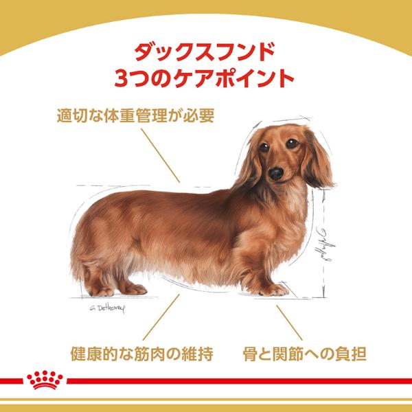 ロイヤルカナン ブリード ヘルス ニュートリション ダックスフンド 成