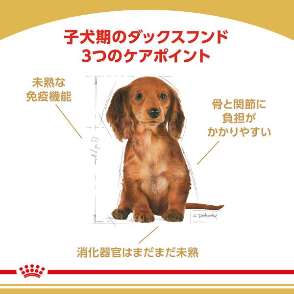 ロイヤルカナン ブリード ヘルス ニュートリション ダックスフンド