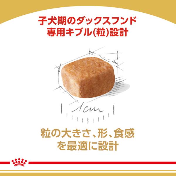ロイヤルカナン ブリード ヘルス ニュートリション ダックスフンド