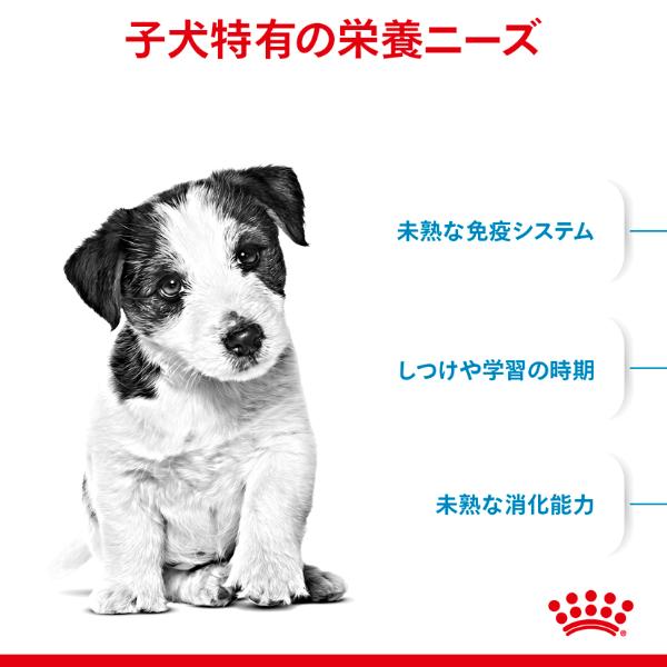 ロイヤルカナン サイズ ヘルス ニュートリション ミニ パピー 800g