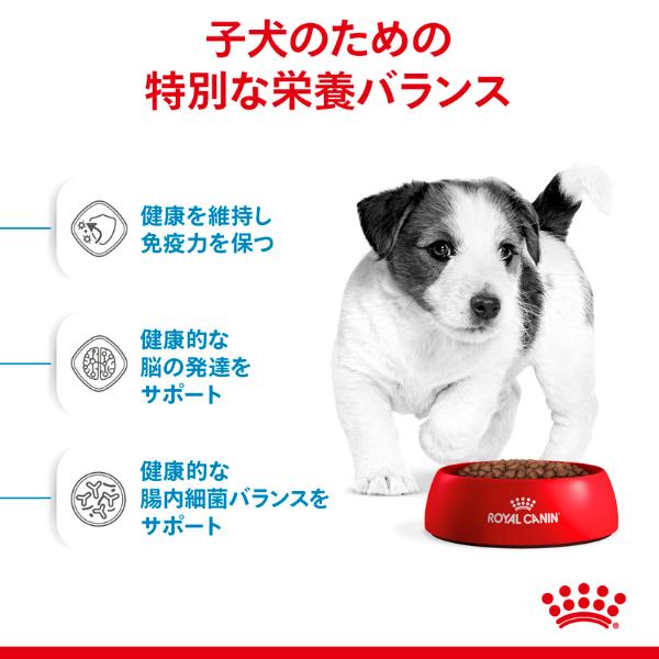 ロイヤルカナン サイズ ヘルス ニュートリション ミニ パピー 800g