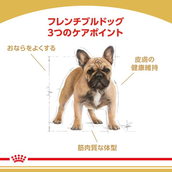 ロイヤルカナン ブリード ヘルス ニュートリション フレンチブルドッグ