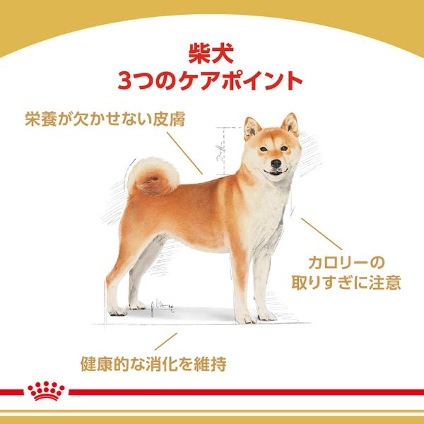 ロイヤルカナン ブリード ヘルス ニュートリション 柴犬 成犬用 生後10