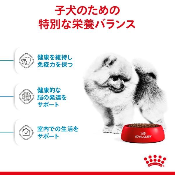 ロイヤルカナン ヘルス ニュートリション ミニ インドア パピー 800g