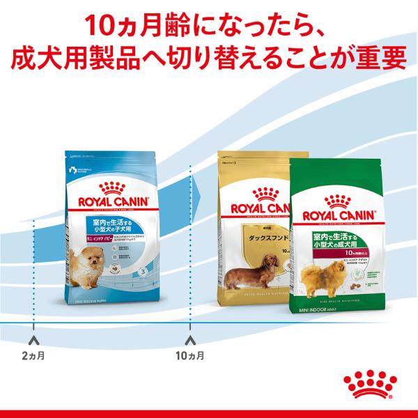 ロイヤルカナン ヘルス ニュートリション ミニ インドア パピー 800g
