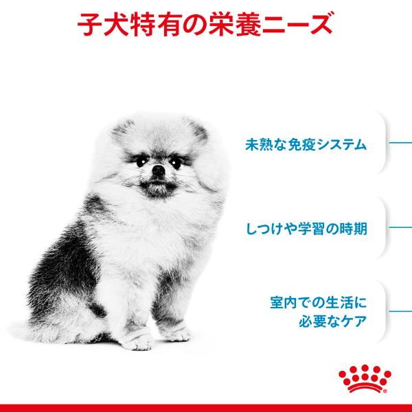 ロイヤルカナン ヘルス ニュートリション ミニ インドア パピー 4kg