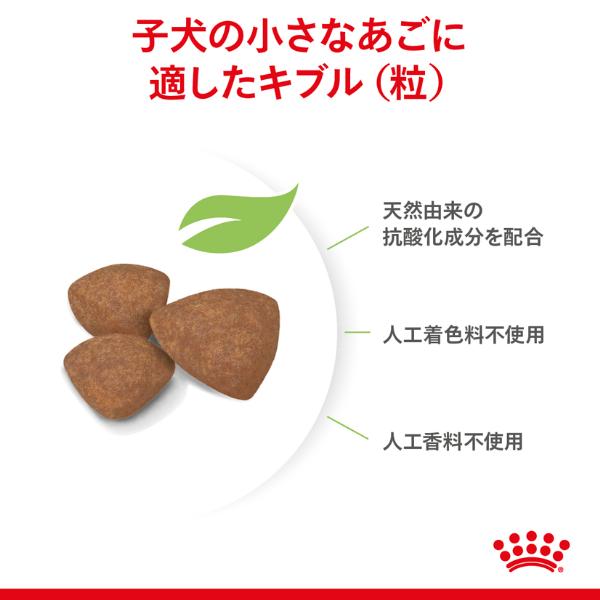 ロイヤルカナン ヘルス ニュートリション ミニ インドア パピー 4kg