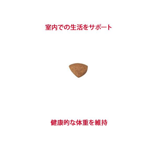 ロイヤルカナン サイズ ヘルス ニュートリション ミニ インドア