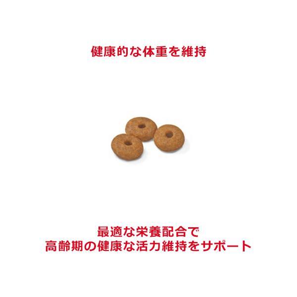 01849661_sub01_LL.jpg
