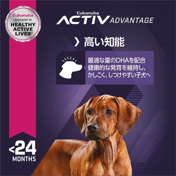 Amazon.co.jp: ユーカヌバ ラージアダルト 大型犬用 7.5kg