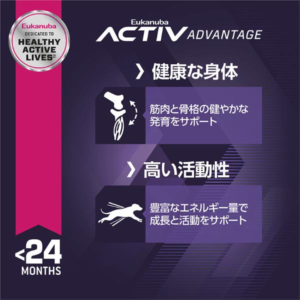 楽天市場】ロングスカート スカート レディース ボトムス 柄