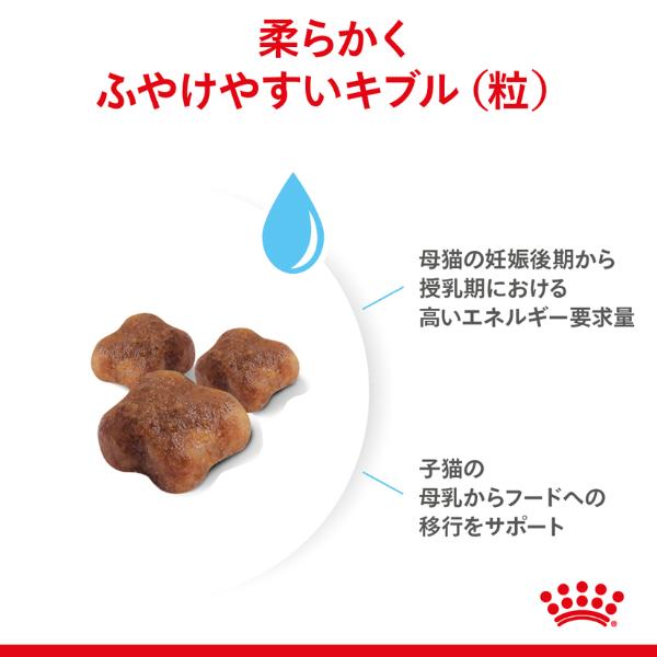 楽天市場】ロイヤルカナン マザー＆ベビーキャット 成長前期の