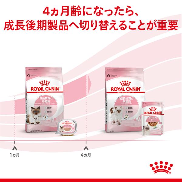 ロイヤルカナン フィーライン ヘルス ニュートリション マザー ロイヤルカナン フィーライン ヘルス ニュートリション マザー