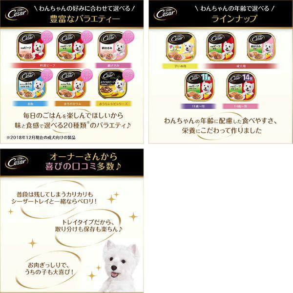 シーザー 14歳からの 絹ささみ 100g×24コ | コジマ通信販売