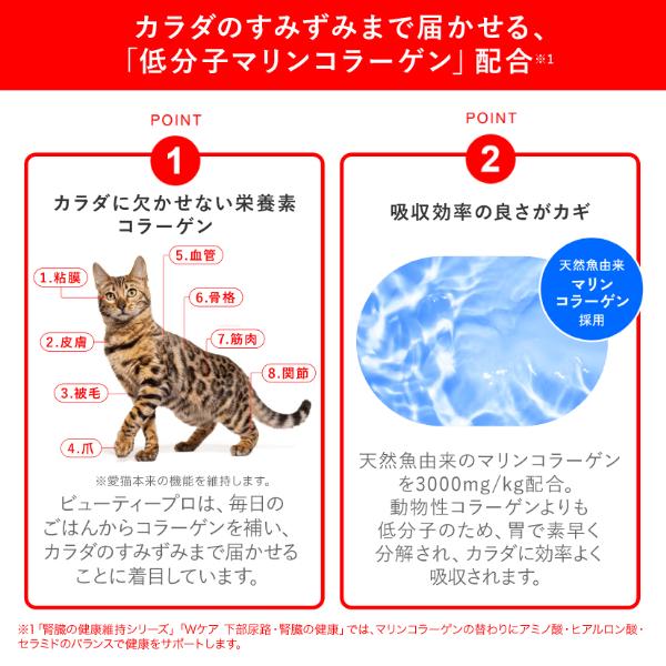 ビューティープロ　キャット　パウチ　１５歳以上　３５ｇｘ９６個（ケース販売）