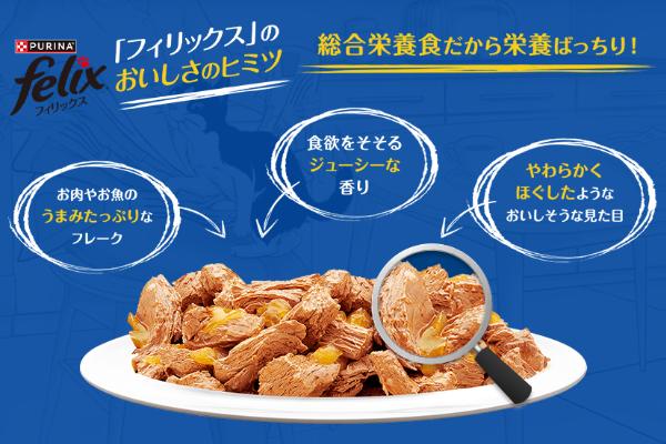 フィリックス チキン3種バラエティ 50g×288袋 フィリックス
