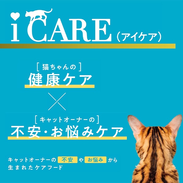 i CARE（アイケア） 腎臓ケア まぐろペースト 35g×12コ | ペット用品