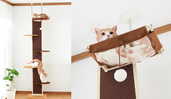 キャットウォーク モダン | ペットの専門店 コジマ通信販売