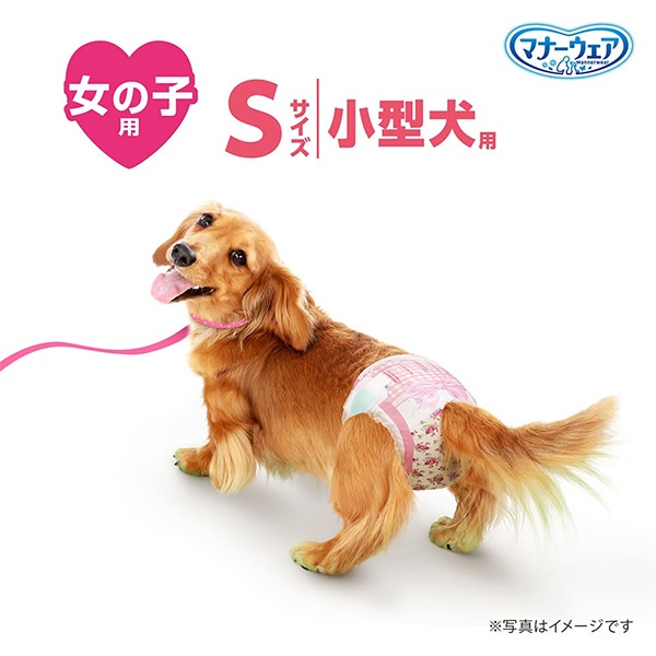あす宅】マナーウェア 女の子用 小型犬用 Sサイズ 4種のデザインパック