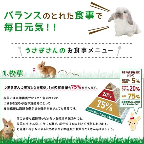 土方十四郎　１番刈りプレミアムチモシー29kg 土方十四郎 1番刈りプレミアムチモシー29kg Amazon | 【令和6年度