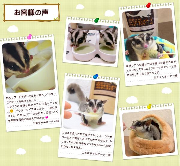 大地の恵み フクロモモンガフード パウダータイプ 100g | コジマ